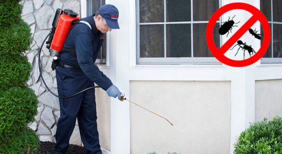 Akyazı Bit İlaçlama böcek ilaçlama ve haşere kontrolü — ilaclama-tr.com